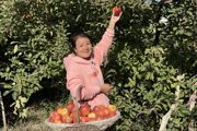 感人的事跡一串串