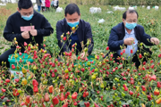 心系群眾解民憂  默默奉獻顯擔(dān)當(dāng)