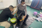關(guān)愛殘疾人義診“量體裁衣”假肢適配暖人心